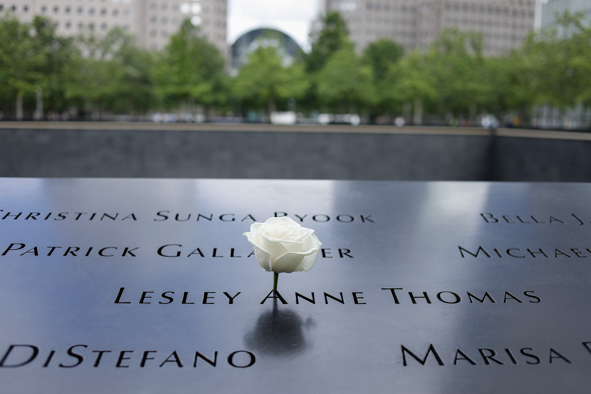 A white rose placed within a name's inscription at the North Tower Pool, Ground Zero.
